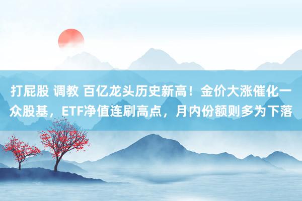 打屁股 调教 百亿龙头历史新高！金价大涨催化一众股基，ETF净值连刷高点，月内份额则多为下落