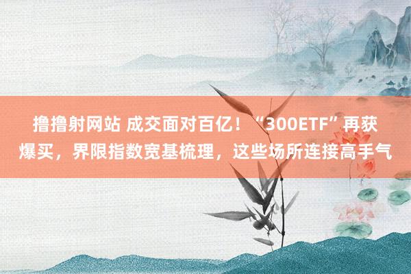 撸撸射网站 成交面对百亿！“300ETF”再获爆买，界限指数宽基梳理，这些场所连接高手气