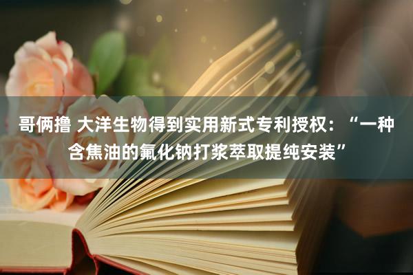 哥俩撸 大洋生物得到实用新式专利授权：“一种含焦油的氟化钠打浆萃取提纯安装”