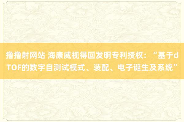 撸撸射网站 海康威视得回发明专利授权：“基于dTOF的数字自测试模式、装配、电子诞生及系统”