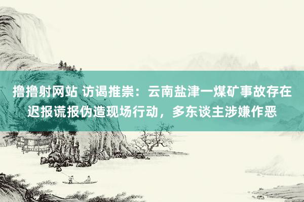 撸撸射网站 访谒推崇：云南盐津一煤矿事故存在迟报谎报伪造现场行动，多东谈主涉嫌作恶