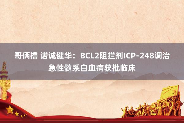 哥俩撸 诺诚健华：BCL2阻拦剂ICP-248调治急性髓系白血病获批临床