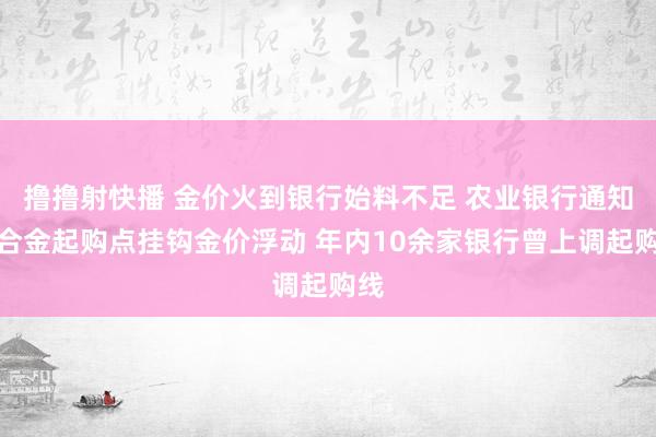 撸撸射快播 金价火到银行始料不足 农业银行通知蚁合金起购点挂钩金价浮动 年内10余家银行曾上调起购线