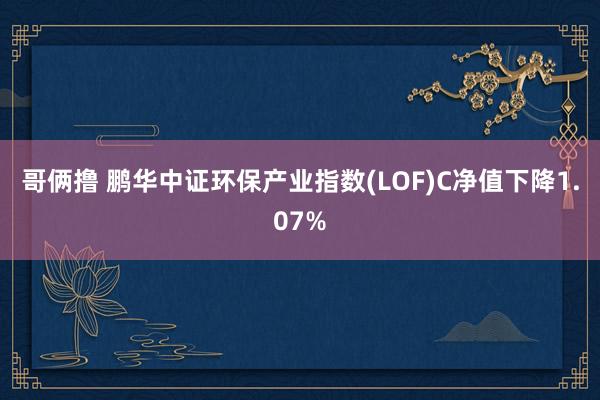 哥俩撸 鹏华中证环保产业指数(LOF)C净值下降1.07%