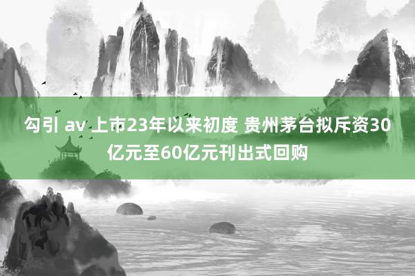 勾引 av 上市23年以来初度 贵州茅台拟斥资30亿元至60亿元刊出式回购