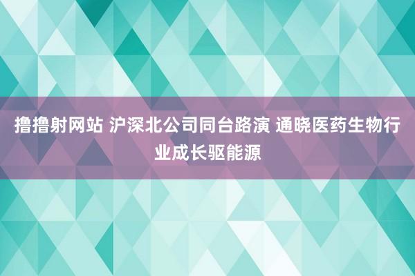 撸撸射网站 沪深北公司同台路演 通晓医药生物行业成长驱能源