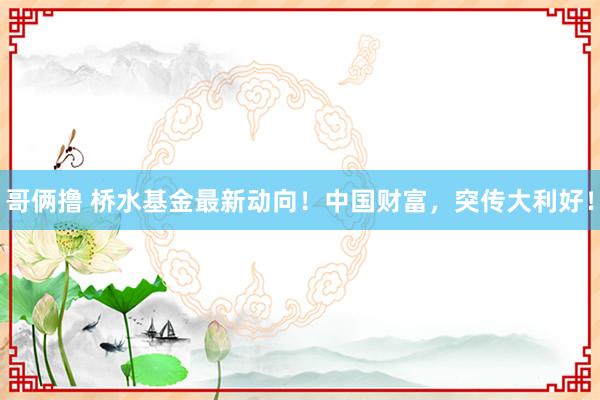 哥俩撸 桥水基金最新动向！中国财富，突传大利好！