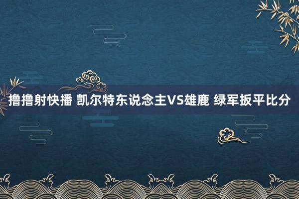 撸撸射快播 凯尔特东说念主VS雄鹿 绿军扳平比分