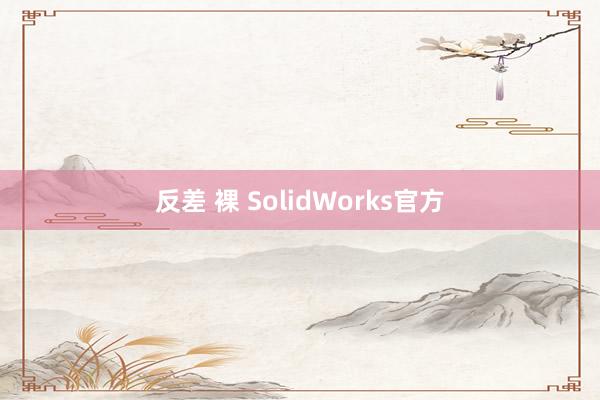 反差 裸 SolidWorks官方