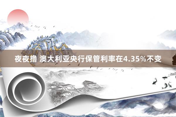 夜夜撸 澳大利亚央行保管利率在4.35%不变