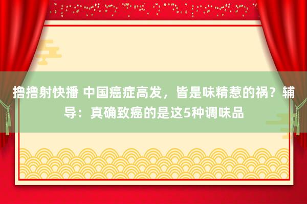 撸撸射快播 中国癌症高发，皆是味精惹的祸？辅导：真确致癌的是这5种调味品