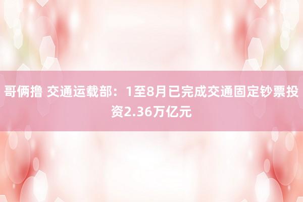 哥俩撸 交通运载部：1至8月已完成交通固定钞票投资2.36万亿元