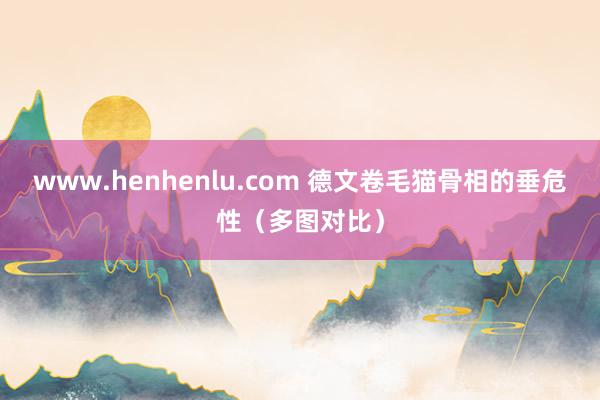 www.henhenlu.com 德文卷毛猫骨相的垂危性（多图对比）