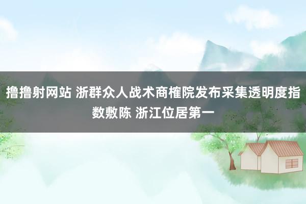 撸撸射网站 浙群众人战术商榷院发布采集透明度指数敷陈 浙江位居第一