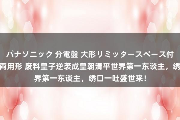 パナソニック 分電盤 大形リミッタースペース付 露出・半埋込両用形 废料皇子逆袭成皇朝清平世界第一东谈主，绣口一吐盛世来！