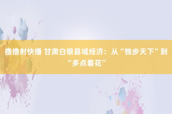 撸撸射快播 甘肃白银县域经济：从“独步天下”到“多点着花”