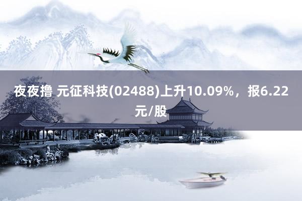 夜夜撸 元征科技(02488)上升10.09%，报6.22元/股