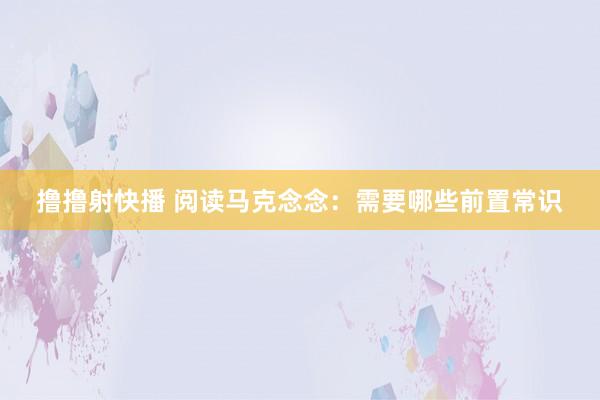 撸撸射快播 阅读马克念念：需要哪些前置常识