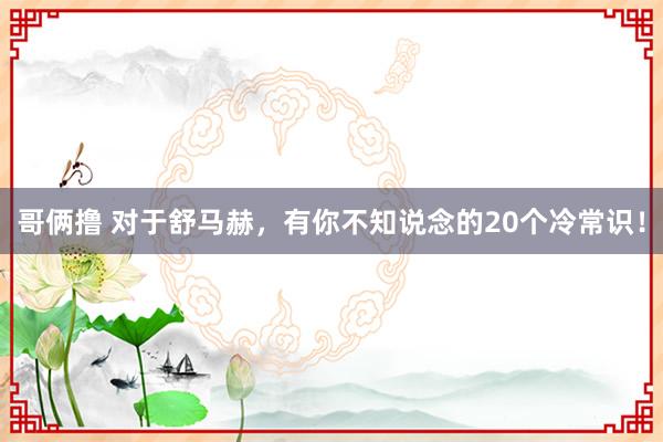 哥俩撸 对于舒马赫，有你不知说念的20个冷常识！