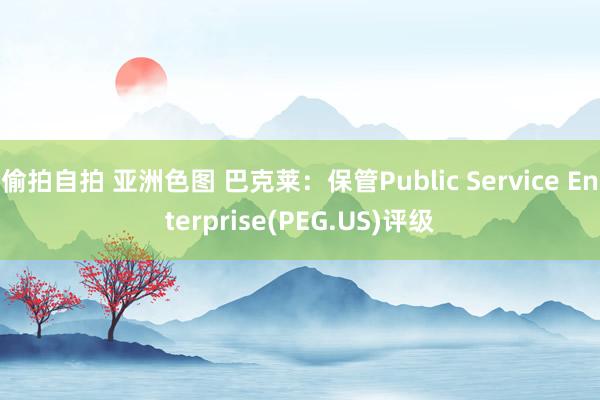 偷拍自拍 亚洲色图 巴克莱：保管Public Service Enterprise(PEG.US)评级