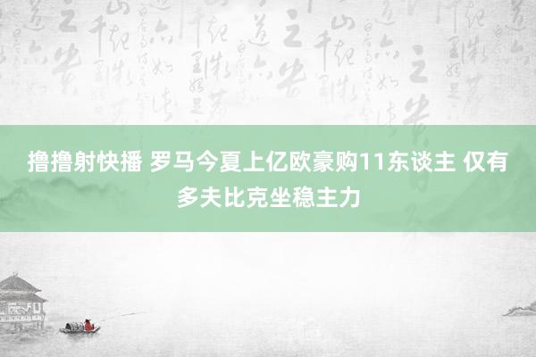 撸撸射快播 罗马今夏上亿欧豪购11东谈主 仅有多夫比克坐稳主力