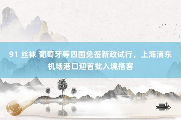 91 丝袜 葡萄牙等四国免签新政试行，上海浦东机场港口迎首批入境搭客