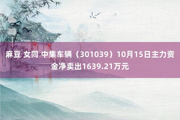 麻豆 女同 中集车辆（301039）10月15日主力资金净卖出1639.21万元