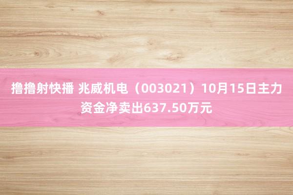 撸撸射快播 兆威机电（003021）10月15日主力资金净卖出637.50万元