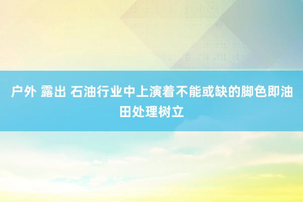 户外 露出 石油行业中上演着不能或缺的脚色即油田处理树立