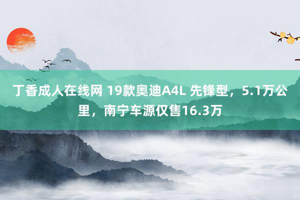 丁香成人在线网 19款奥迪A4L 先锋型，5.1万公里，南宁车源仅售16.3万