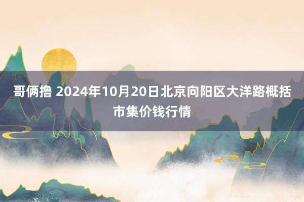 哥俩撸 2024年10月20日北京向阳区大洋路概括市集价钱行情