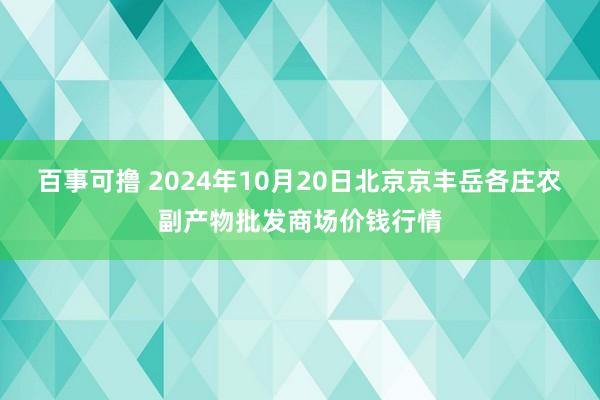 百事可撸 2024年10月20日北京京丰岳各庄农副产物批发商场价钱行情