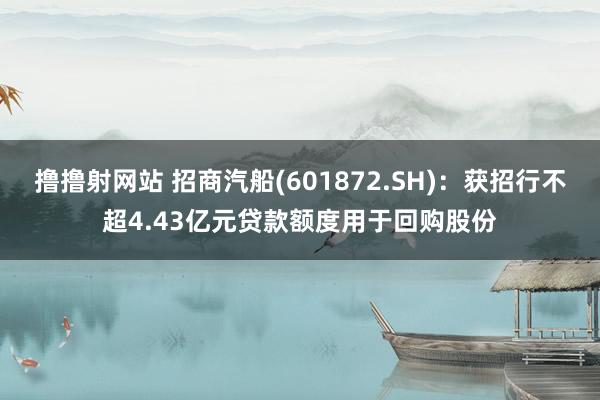 撸撸射网站 招商汽船(601872.SH)：获招行不超4.43亿元贷款额度用于回购股份