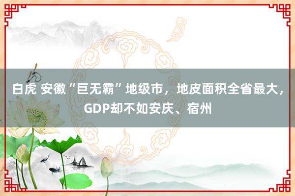 白虎 安徽“巨无霸”地级市，地皮面积全省最大，GDP却不如安庆、宿州