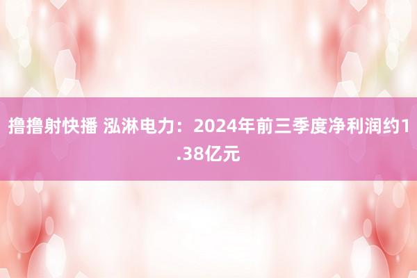 撸撸射快播 泓淋电力：2024年前三季度净利润约1.38亿元