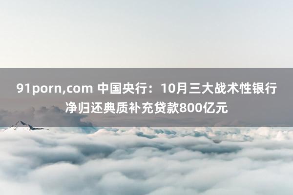 91porn，com 中国央行：10月三大战术性银行净归还典质补充贷款800亿元