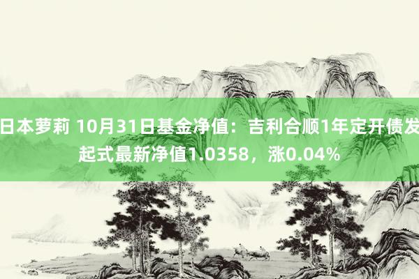 日本萝莉 10月31日基金净值：吉利合顺1年定开债发起式最新净值1.0358，涨0.04%