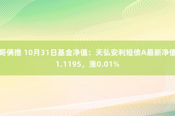 哥俩撸 10月31日基金净值：天弘安利短债A最新净值1.1195，涨0.01%