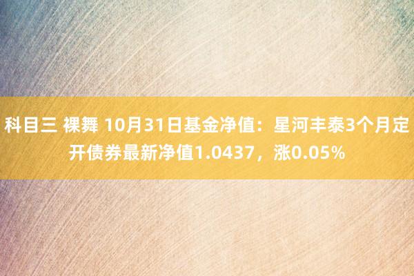 科目三 裸舞 10月31日基金净值：星河丰泰3个月定开债券最新净值1.0437，涨0.05%