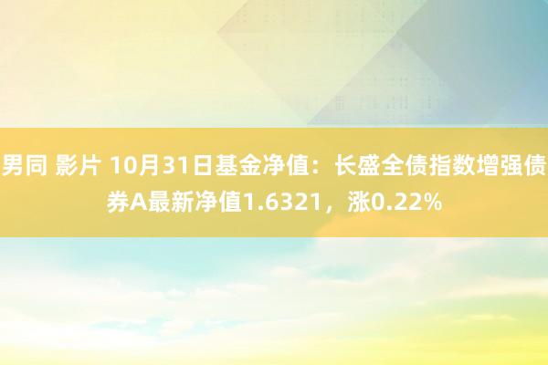 男同 影片 10月31日基金净值：长盛全债指数增强债券A最新净值1.6321，涨0.22%