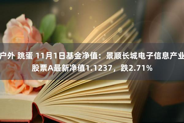 户外 跳蛋 11月1日基金净值：景顺长城电子信息产业股票A最新净值1.1237，跌2.71%