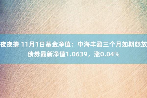 夜夜撸 11月1日基金净值：中海丰盈三个月如期怒放债券最新净值1.0639，涨0.04%