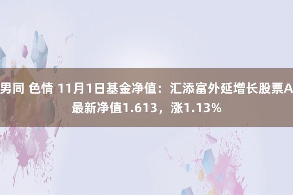 男同 色情 11月1日基金净值：汇添富外延增长股票A最新净值1.613，涨1.13%