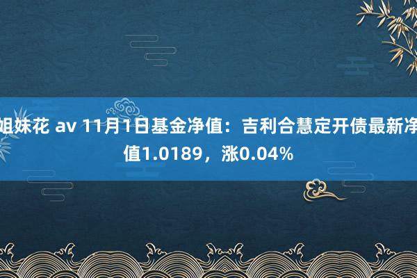 姐妹花 av 11月1日基金净值：吉利合慧定开债最新净值1.0189，涨0.04%