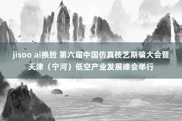 jisoo ai换脸 第六届中国仿真技艺期骗大会暨天津（宁河）低空产业发展峰会举行