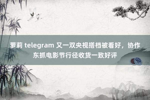 萝莉 telegram 又一双央视搭档被看好，协作东抓电影节行径收货一致好评