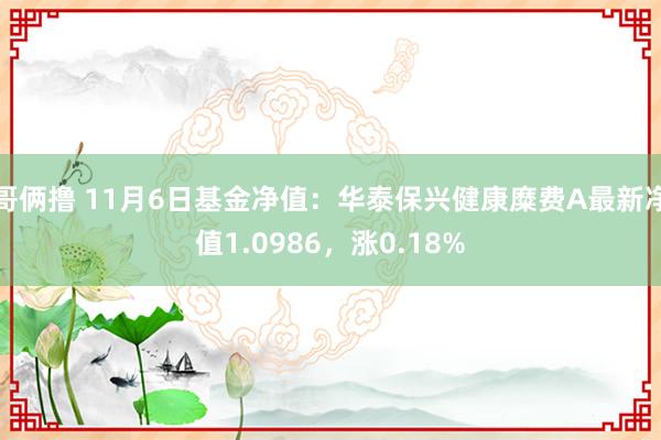 哥俩撸 11月6日基金净值：华泰保兴健康糜费A最新净值1.0986，涨0.18%