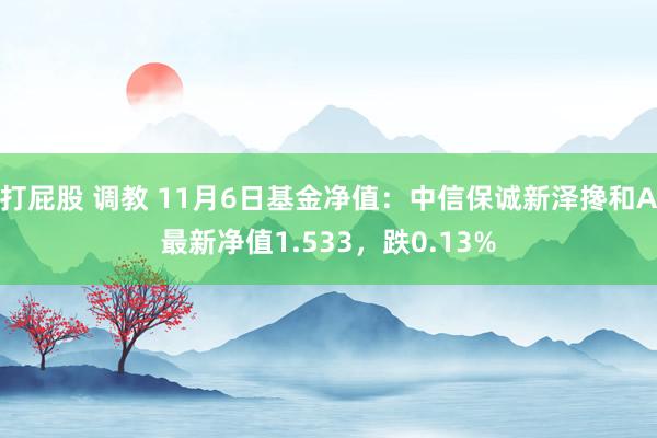 打屁股 调教 11月6日基金净值：中信保诚新泽搀和A最新净值1.533，跌0.13%