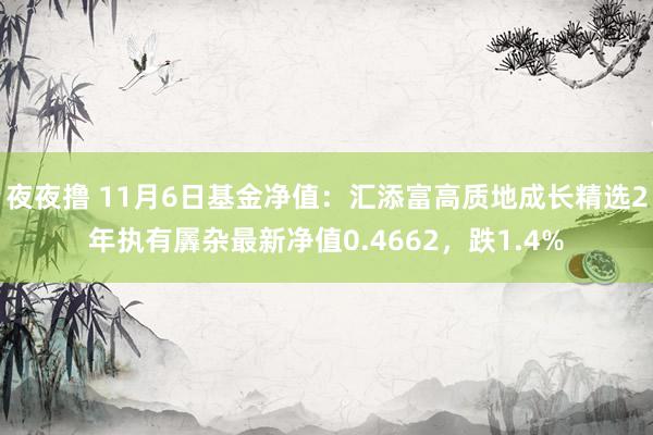 夜夜撸 11月6日基金净值：汇添富高质地成长精选2年执有羼杂最新净值0.4662，跌1.4%