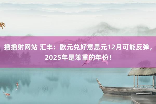 撸撸射网站 汇丰：欧元兑好意思元12月可能反弹，2025年是笨重的年份！